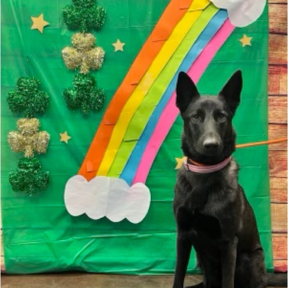 BOUTQ_CHIC IS LIVE!!!!!!!! - Picture 5 of 9